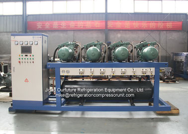 Kettings Logistische Koude Zaal Compressoreenheid 80HP - 600HP voor Ijsmaker