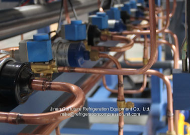Koude Zaal van de de Compressoreenheid van de Evaporatoreenheid Koelere CCC QS van Ce Water Gekoelde