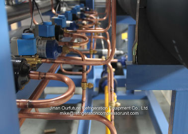 Het Type van het Merkschroef van R404abitzer Parallelle Compressorrekken voor Chemische Koude Zaal