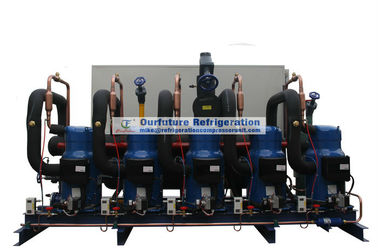 Roltype condenserende eenheid met de compressor van Danfoss R404a en PLC controle voor koelhuis