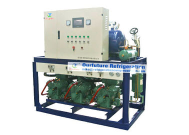 De eenheid van de de koelingscompressor van R404abitzer voor -18℃ lams koude opslag met PLC autocontrolesysteem