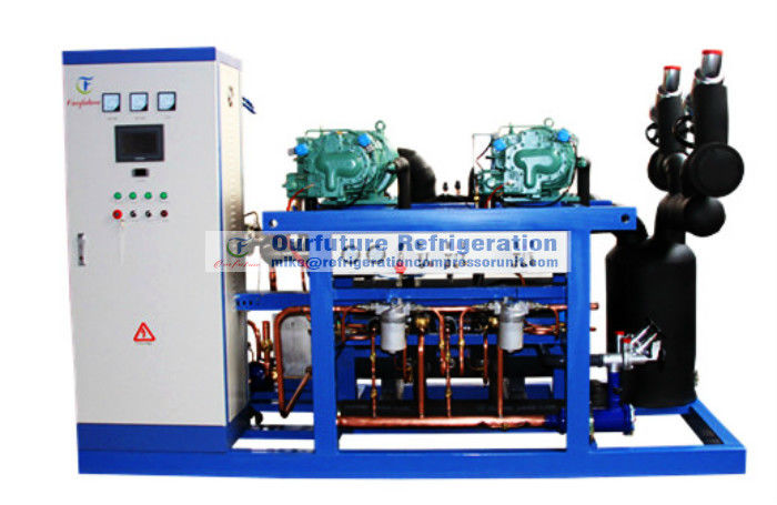 Koude Zaal de Compressoreenheid van de Lage Temperatuurschroef voor -18℃ Koude Zaal, R404a, Compressor